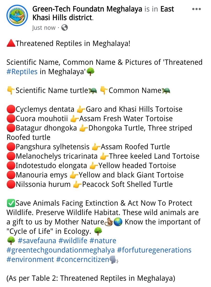 GTFmeghalaya's tweet photo. 🔺Threatened Reptiles in Meghalaya!
Scientific Name, Common Name & Pictures of 'Threatened #Reptiles in Meghalaya'🌳
👇Scientific Name turtle🐢 👇Common Name🐢
🌳 #savefauna #wildlife #nature #greentechgoundationmeghalya #forfuturegenerations #environment #concerncitizen🗣 https://t.co/IKg7YwSc1O