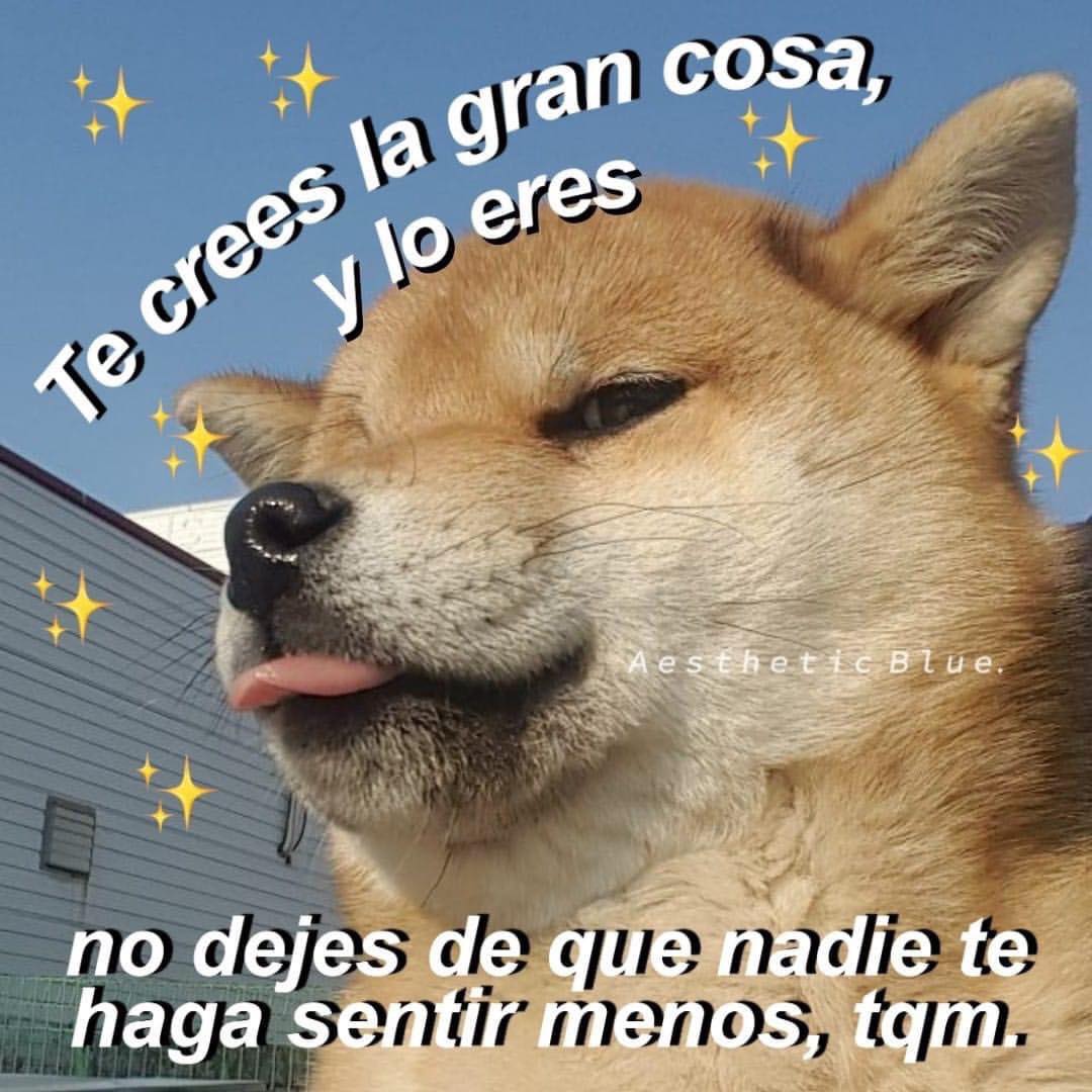 El Guarromántico (@guarromantico_) on Twitter photo 