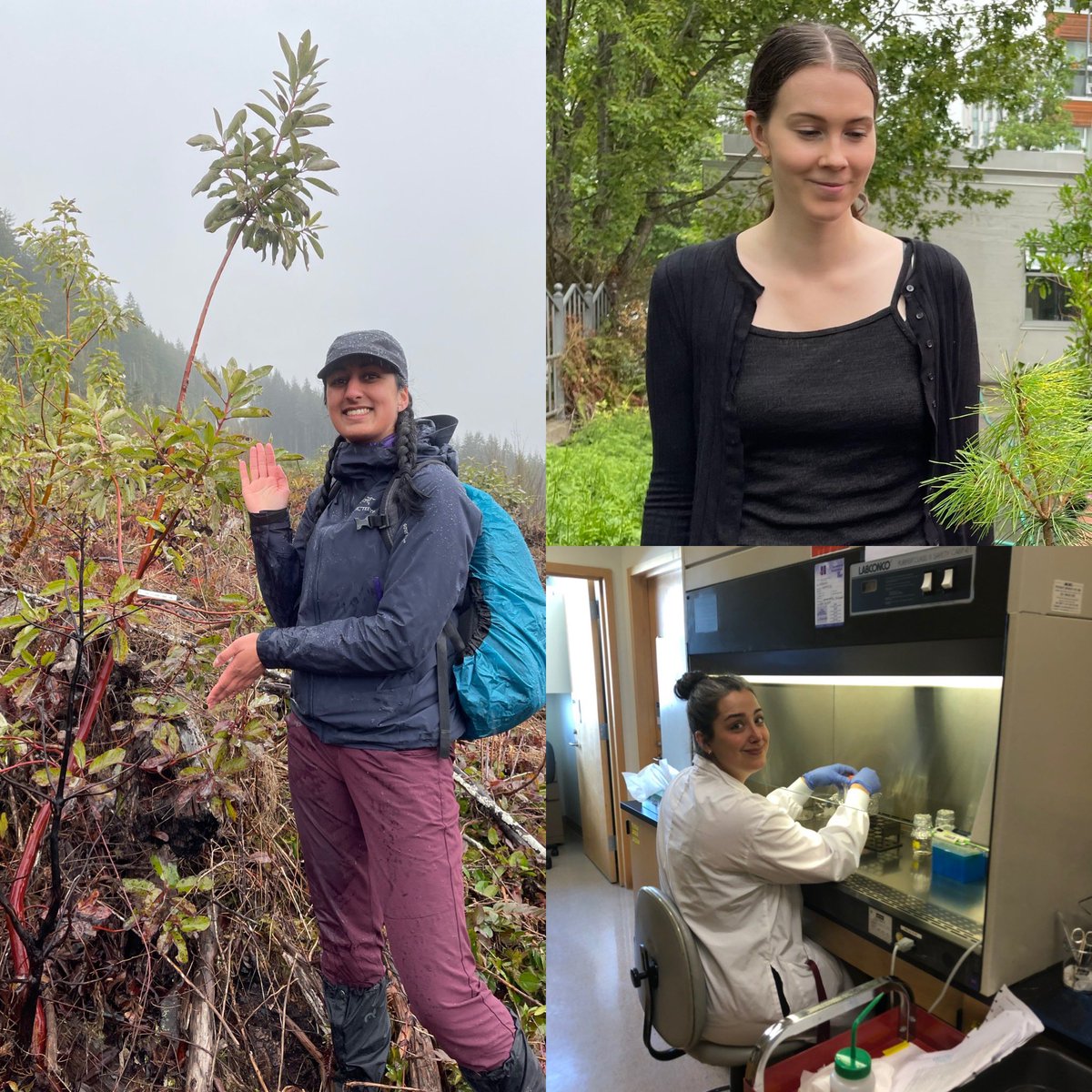 Richard Hamelin (@richamelin) on Twitter photo Congratulations to a fantastic trio of students <a href="/erika_d_/">Erika Dort</a>, <a href="/PriyaNeenaPuri/">Priya Puri 🌞</a> and Leah Rettenbacher who received @ubcforestry awards to support their graduate studies on #treedisease #genomics #plantpathogen <a href="/evofunpath/">@EvoFunPath</a> <a href="/BioSAFE_genome/">BioSAFE</a> <a href="/CRSNG_NSERC/">CRSNG / NSERC</a> <a href="/GenomeBC/">GenomeBC</a> <a href="/GenomeCanada/">Genome Canada</a> Congratulations to a fantastic trio of students <a href="/erika_d_/">Erika Dort</a>, <a href="/PriyaNeenaPuri/">Priya Puri 🌞</a> and Leah Rettenbacher who received @ubcforestry awards to support their graduate studies on #treedisease #genomics #plantpathogen <a href="/evofunpath/">@EvoFunPath</a> <a href="/BioSAFE_genome/">BioSAFE</a> <a href="/CRSNG_NSERC/">CRSNG / NSERC</a> <a href="/GenomeBC/">GenomeBC</a> <a href="/GenomeCanada/">Genome Canada</a>