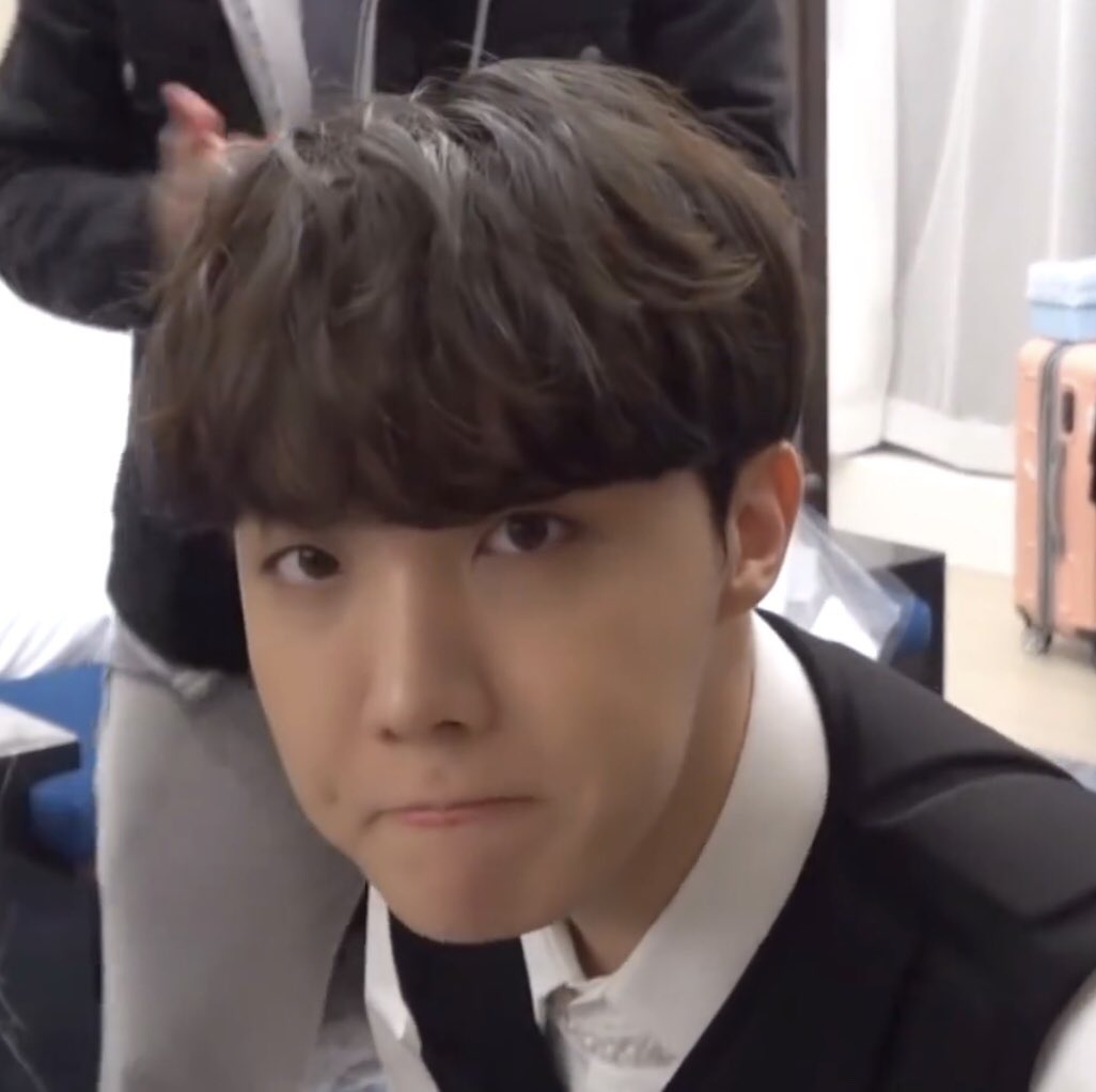 tinyhobipics's tweet photo. https://t.co/NOJOyTKmPi