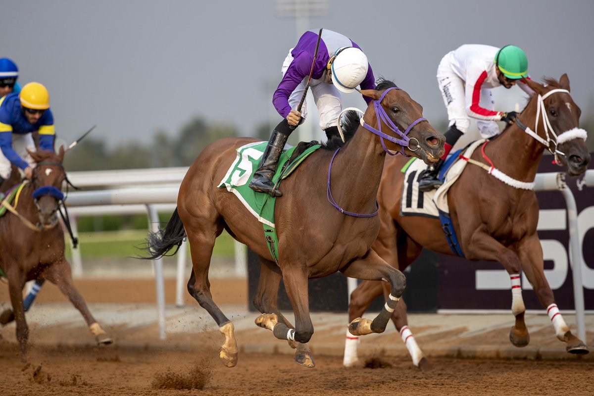 Jockey Club of Saudi Arabia tweet media