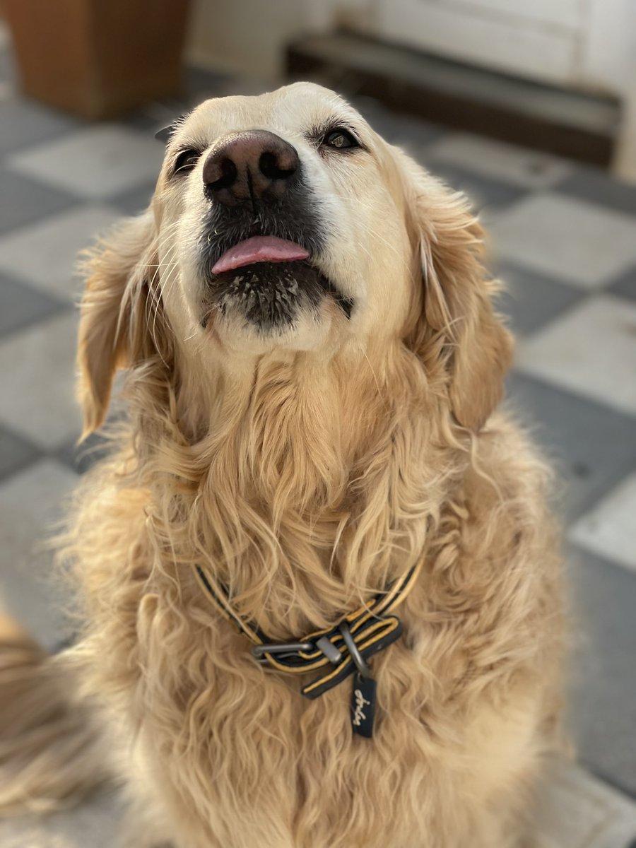 illiterateddy's tweet photo. hello, writetwt! blue wishes you an inspired weekend! 👅 https://t.co/ahkXtBptUH