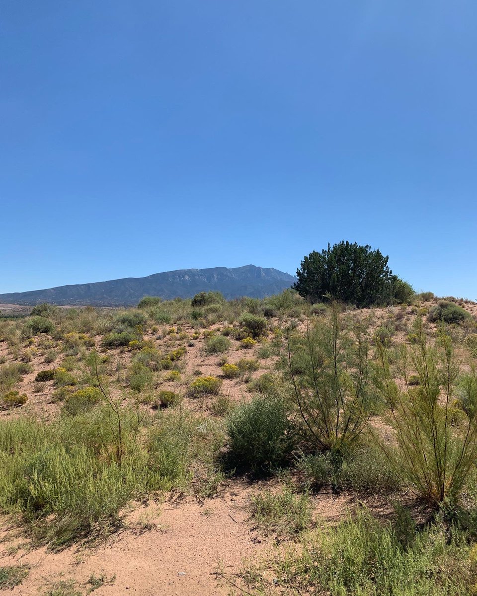 mrchampine's tweet photo. Played some great golf but came up a little short by taking 3rd. Still great day and fun people. Thank you everyone at Sandia Prep. #sandiaprep #TwinWarriorsGolf https://t.co/OAjOD9TB26