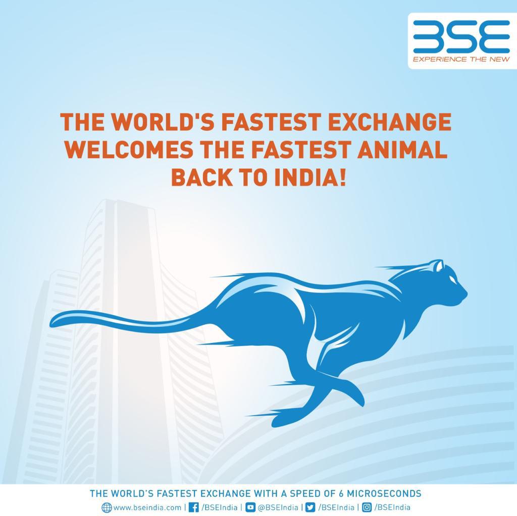 BSE India tweet media