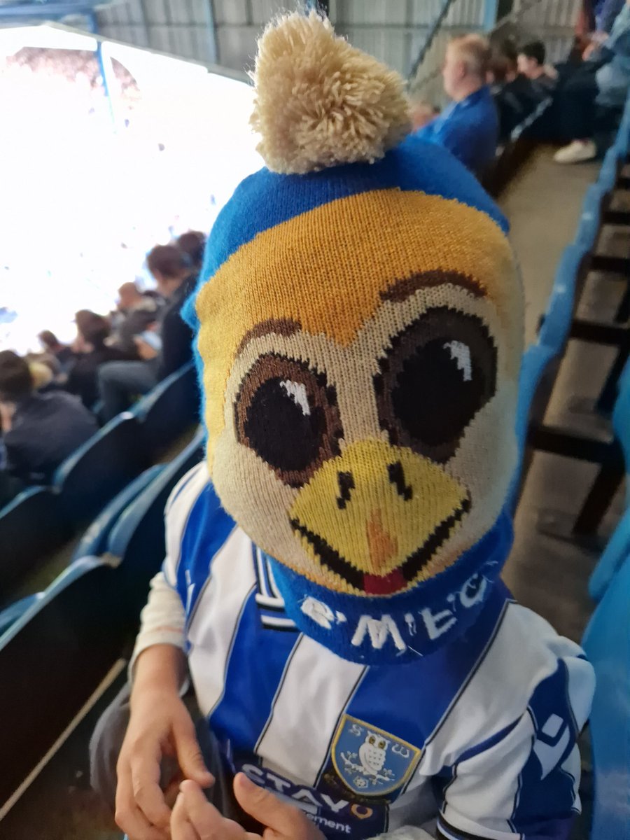 Alfred needs a goal or 2.. Come on Wednesday! #SHWIPS #swfc <a href="/BarneyOwl67/">Barney Owl SWFC</a>