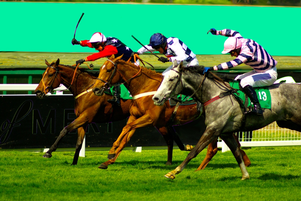 A report on the whip by <a href="/BHAHorseracing/">British Horseracing Authority</a> "gives the impression that striking horses with a partially padded rod is in their interest, like making your children eat their vegetables."

Read more here: 
theconversation.com/the-horseracin…

#NationalRacehorseWeek
#animals
#BanTheWhip