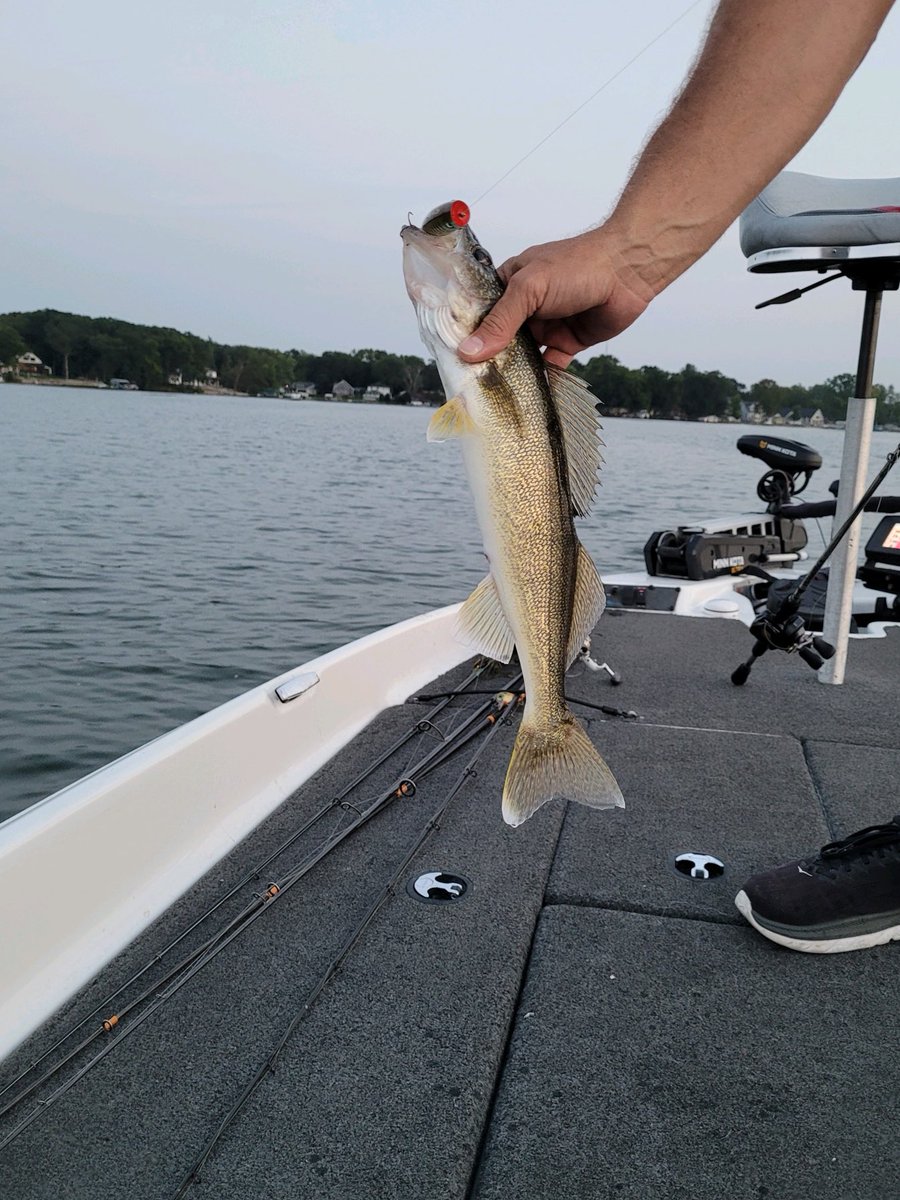NieuwenhuisJeff's tweet photo. Gotta say this is a first in my fishing career. Walleye on a topwater popper. #walleye #topwater #lobinariorico #Michiganfishing #fishing https://t.co/oWrdh8i90h