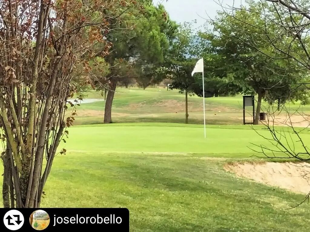 golflagarriga's tweet photo. #Repost - @joselorobello 
De visita al Pitch and Putt !!!!🌹🌹🌹😛😛😛😘😘😘😊😊😊😍♥️😍 https://t.co/cXGADRQmCu https://t.co/kAyxM9FyXT