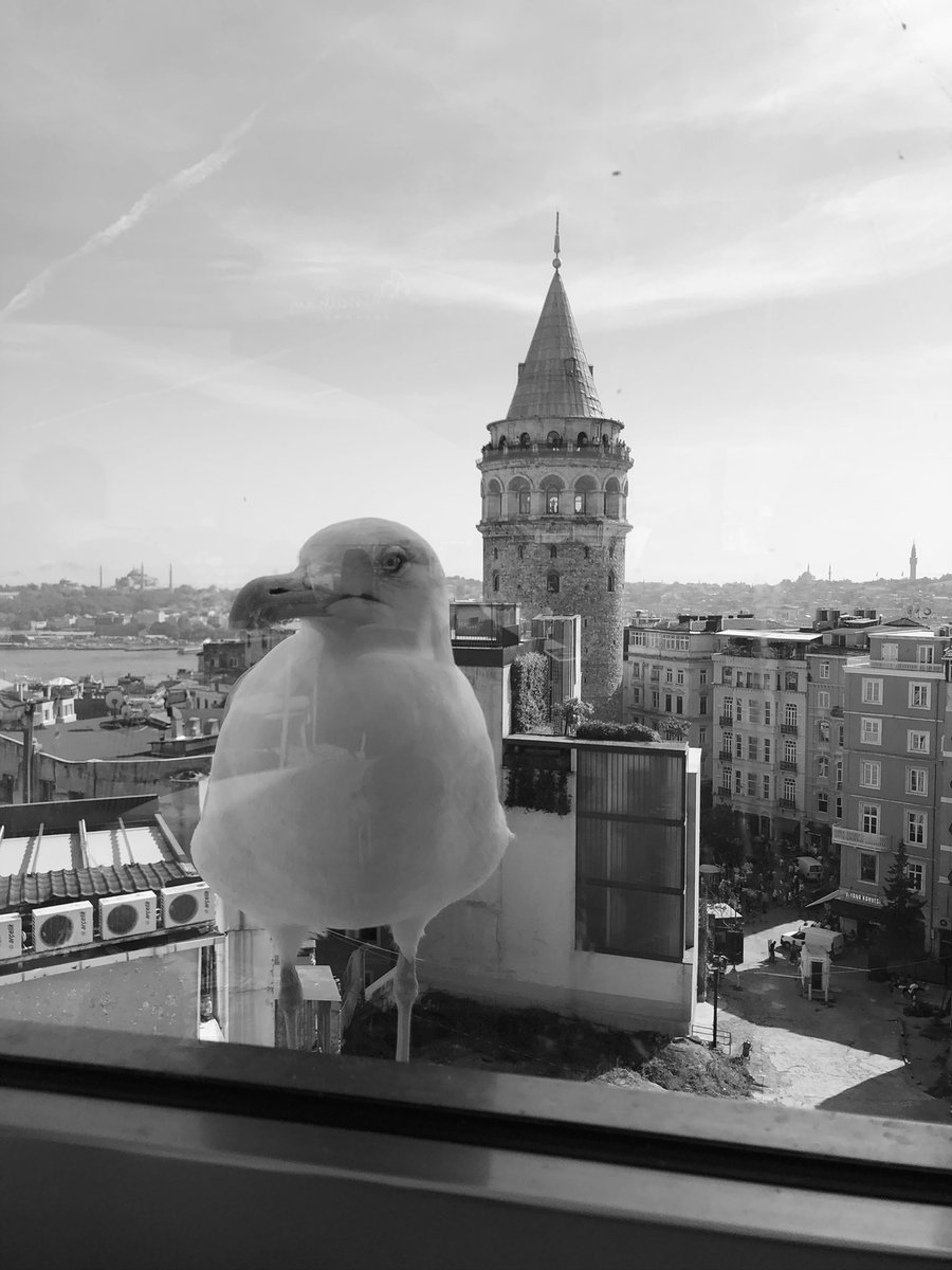ulantalih's tweet photo. aşırı pozitif https://t.co/mgKskNWVrV