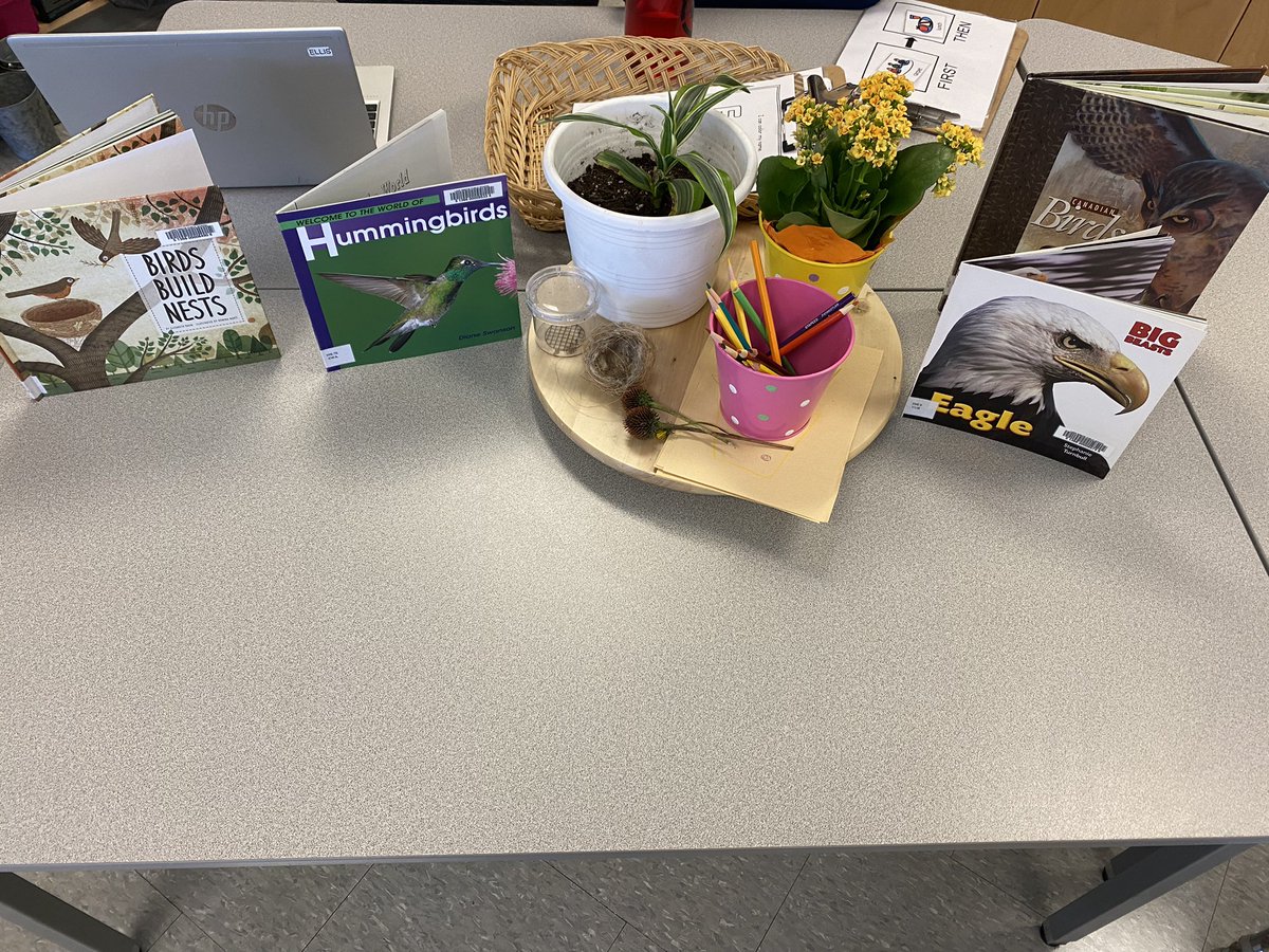 A special nest was found. They carefully carried it over to share with an educator. It's very small, we wonder what type of bird built this nest? We got some books from the library to help with their discovery! <a href="/lksimcoepslib/">Lake Simcoe PS LC</a> <a href="/LakeSimcoePS/">Lake Simcoe PS</a> <a href="/Heather7Ellis/">Heather Ellis</a>