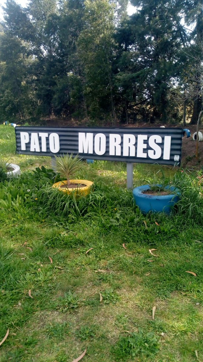 @monolito_morresi5 tweet media