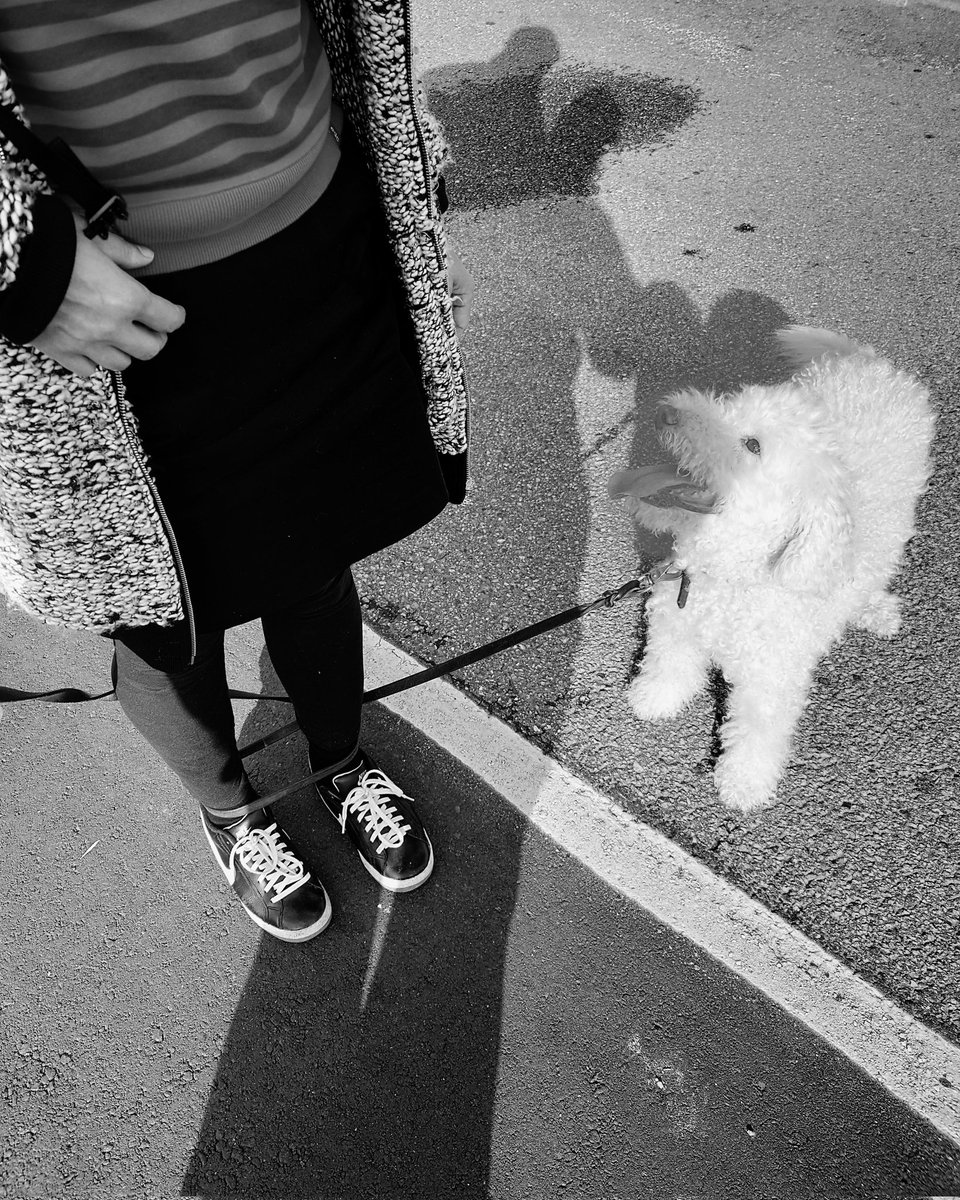 GoodGirlComics's tweet photo. Good Girl decided to make sure that one from her pack didn't wander off on her own way. 🐶⛓️👧 #dog #DogsofTwitter https://t.co/K2yiQPcZA8