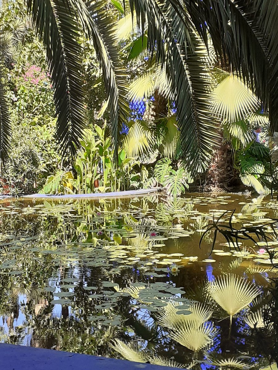 Paul Smith tweet media