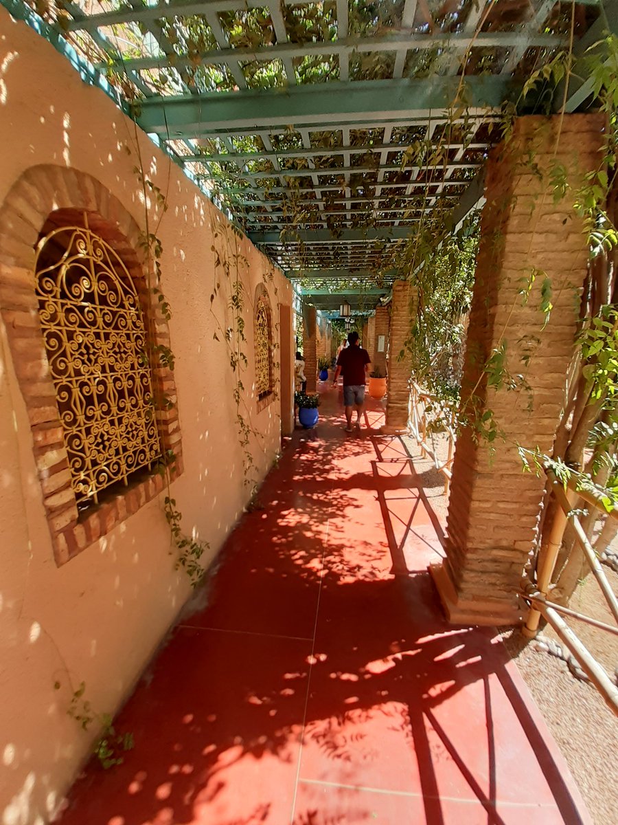 Le Jardin Marjorelle in Marrakech. Hard to regard visiting a place as beautiful as this as a bus man's holiday!