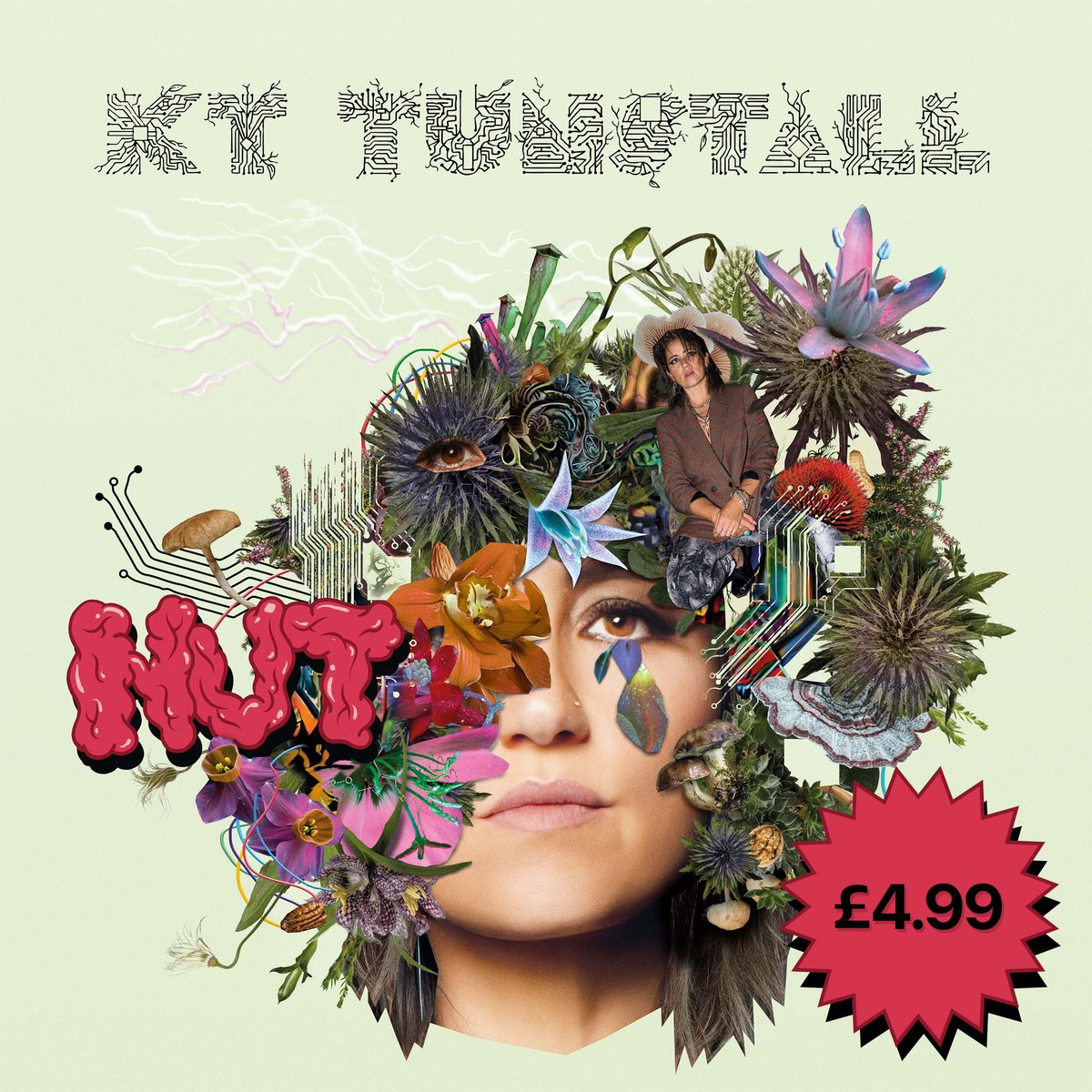 KTTunstallNinja's tweet photo. #NUT - the new album from @KTTunstall - is available to download on @iTunes UK for £4.99 for a limited time only!
https://t.co/LfJ2rv8j8Y

Go get her! 🎵 

#kttunstall #newmusic #album #itunes #sale #albumchart #privateeyes #canyons #iamthepilot #demigod #newmusicalert #nmf https://t.co/aNcnkJkeSA