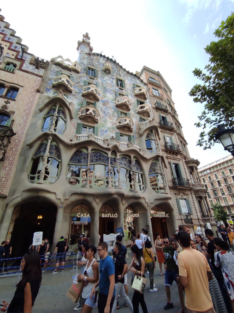 Dr Anna Niarakis tweet media