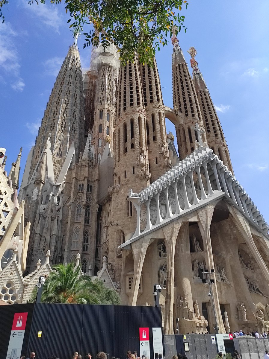 Dr Anna Niarakis tweet media