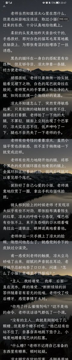 爱发癫的派师傅 tweet media