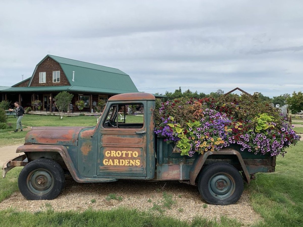 GardensGrotto's tweet photo. Grotto Gardens is the best place to spend your weekend!
Feed &amp; interact with the animals in our petting zoo. Enjoy a bite to eat in our restaurant, a glass of wine on the patio, and pick up a souvenir from our gift shop on your way out.
Thank you for the photos, @ emjhiker https://t.co/XbRnW85elH