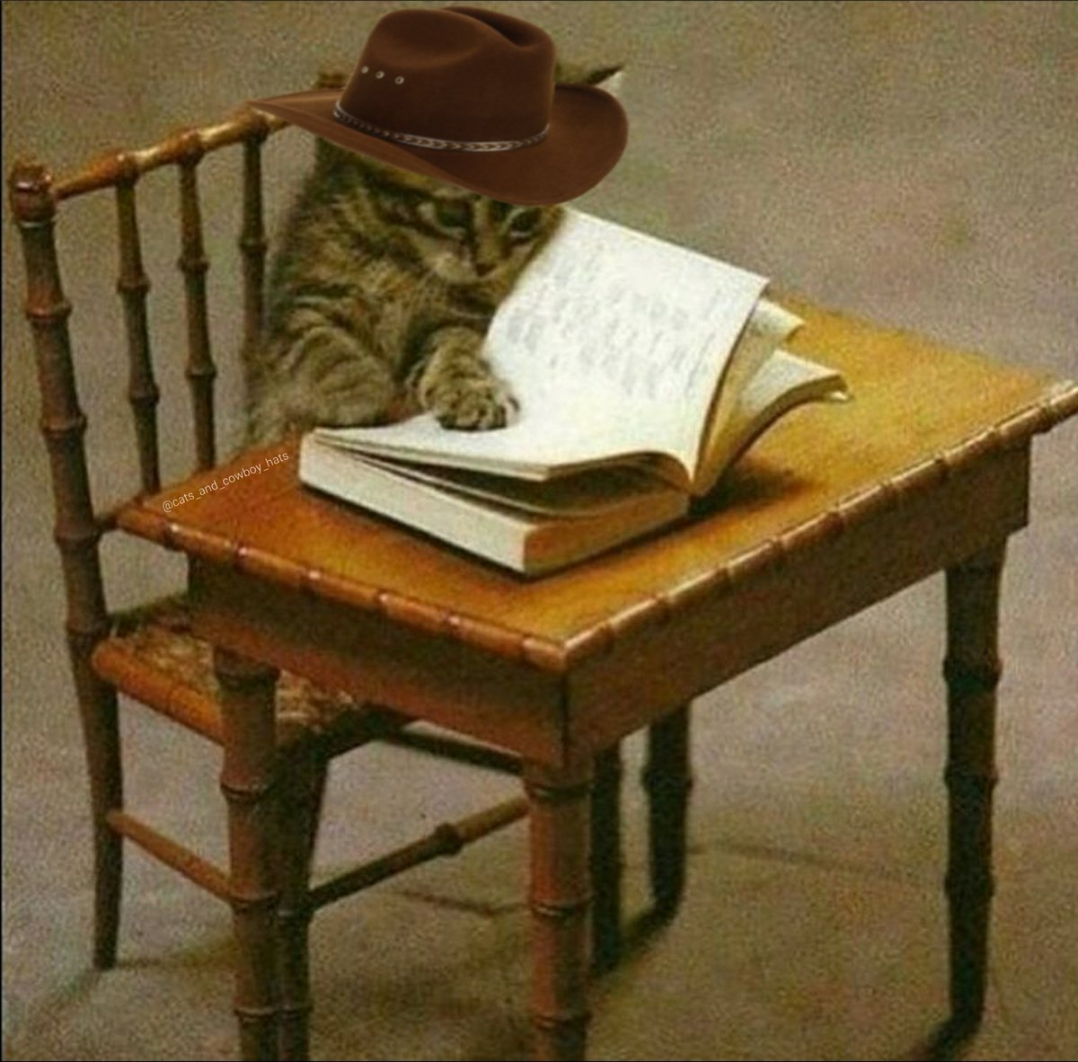 CowboyCats's tweet photo. https://t.co/jpKVtcPC6n