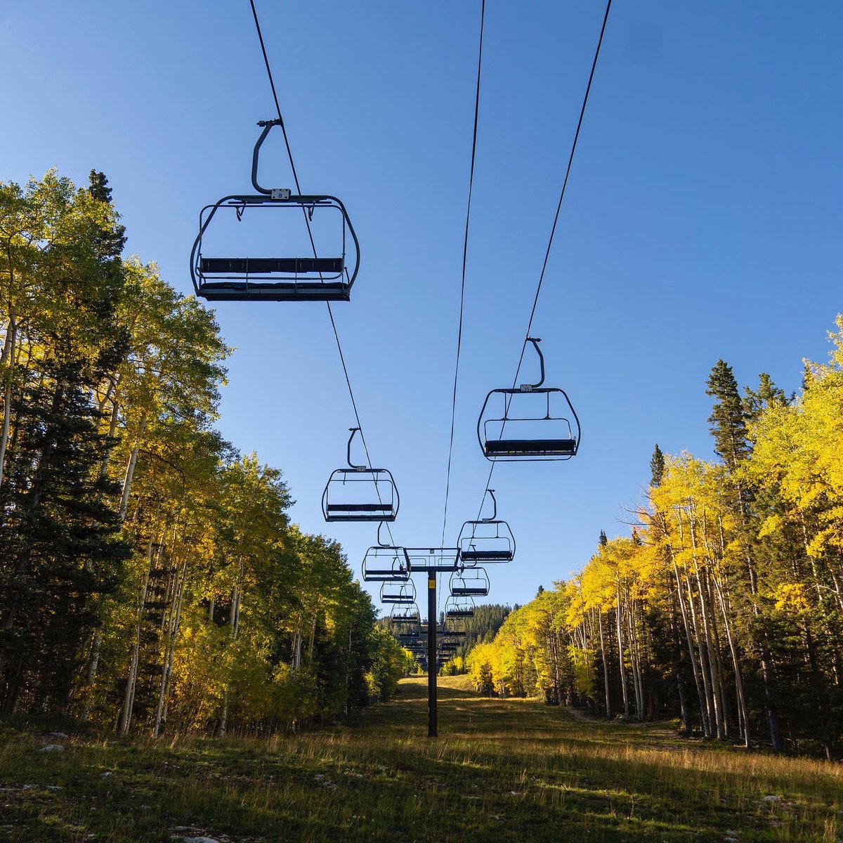 SkiSantaFe's tweet photo. Finding gold around Ski Santa Fe this morning, we are excited to be open for fall fun!

Come on up and make sure your 🍂👀 leaf peeping skills are ready for some beautiful fall colors.

Find out more at https://t.co/4SLyeE23UU https://t.co/alk9YgkxoK