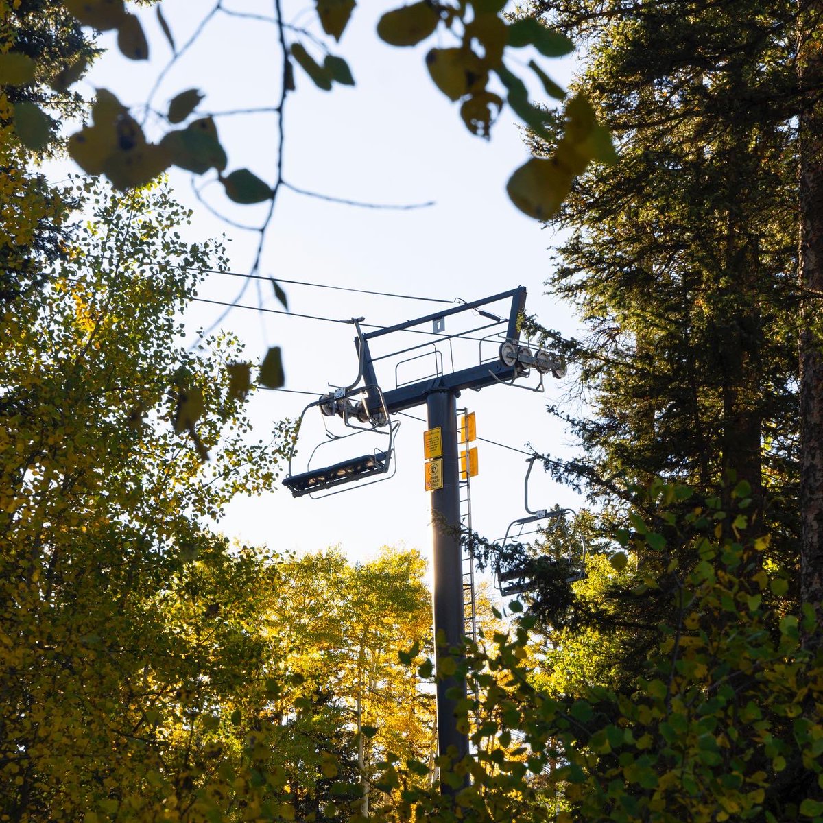 SkiSantaFe's tweet photo. Finding gold around Ski Santa Fe this morning, we are excited to be open for fall fun!

Come on up and make sure your 🍂👀 leaf peeping skills are ready for some beautiful fall colors.

Find out more at https://t.co/4SLyeE23UU https://t.co/alk9YgkxoK