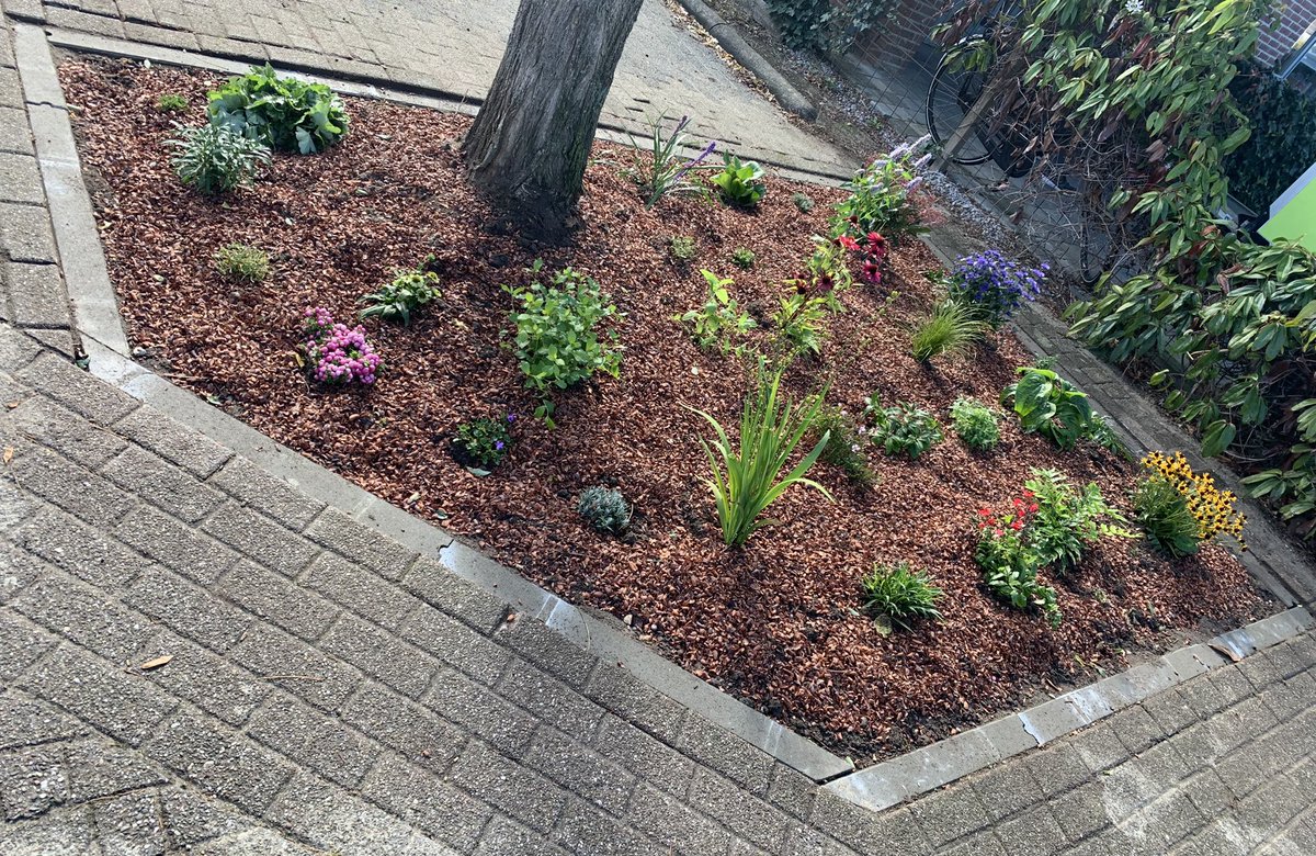 VeldMarieke's tweet photo. @wspzwollezuid Zie hier het resultaat! 😁 🌺🌼 🐝🦋 https://t.co/fcML7ZGx9u