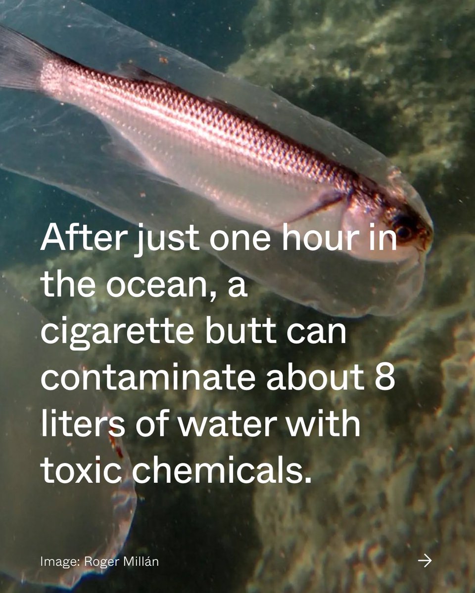 Happy International Coastal Cleanup Day!

This day was created to raise awareness of the growing pollution that’s harming the ocean, and to take a step to tackle it. Help heal the planet by joining one of the hundreds happening worldwide at l8r.it/ZAg9