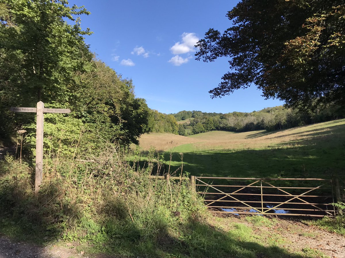 LawrenceKuglin's tweet photo. One of the loveliest days for walking since the spring! 11 miles from Epsom Downs to Leatherhead via Headley Heath, Box Hill &amp; Juniper Bottom. @RamblersGB https://t.co/Bzo2WA91SF