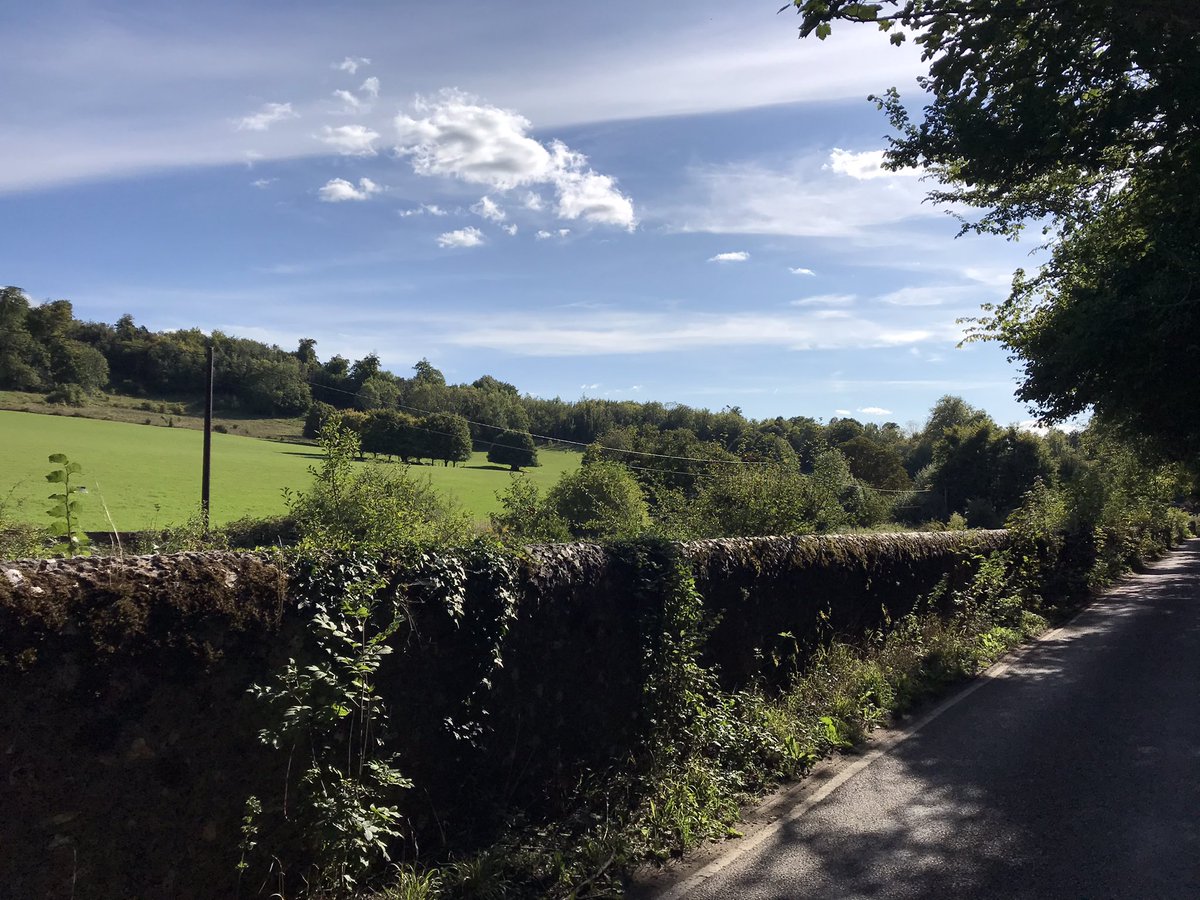 LawrenceKuglin's tweet photo. One of the loveliest days for walking since the spring! 11 miles from Epsom Downs to Leatherhead via Headley Heath, Box Hill &amp; Juniper Bottom. @RamblersGB https://t.co/Bzo2WA91SF