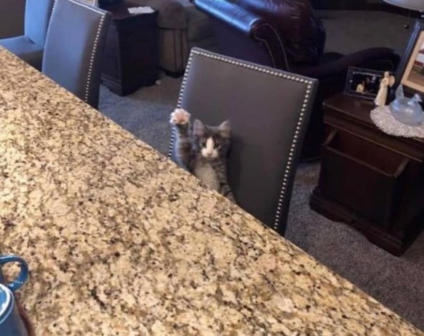 hourlymkl's tweet photo. HE HAS A QUESTION https://t.co/nZyIrBaW9s