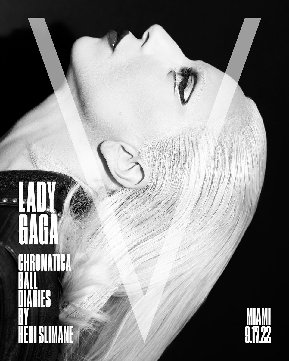 V MAGAZINE: CHROMATICA BALL DIARIES BY HEDI SLIMANE COVER 4