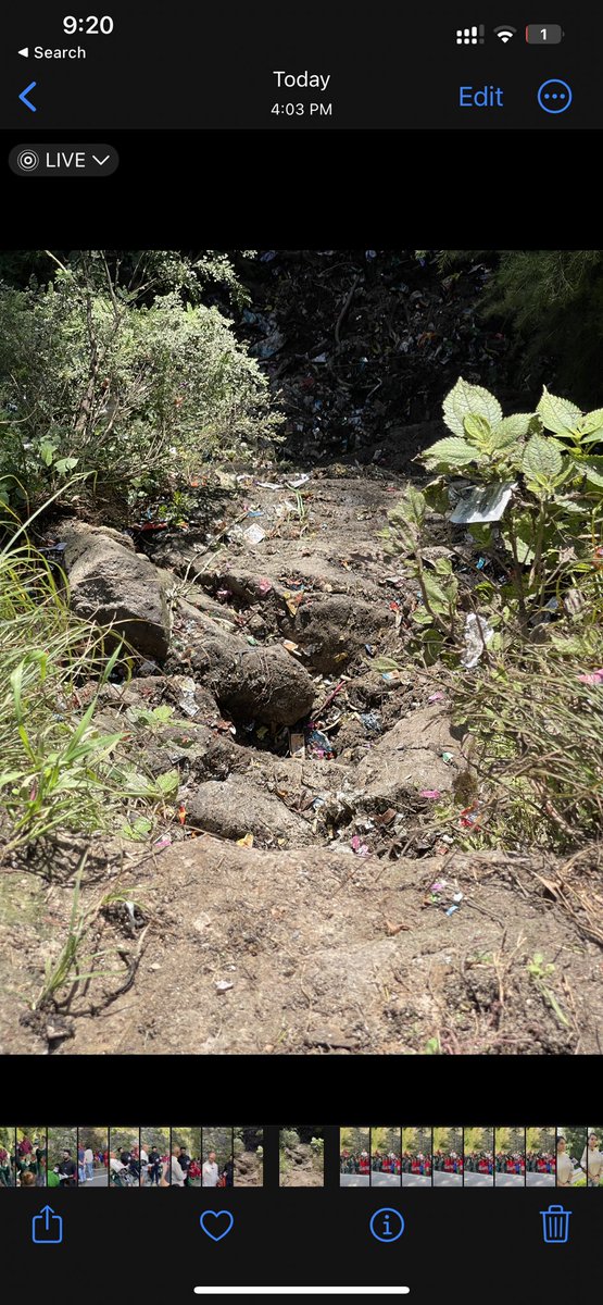 We cleaned approximately 2 tons of garbage at wildlife area of Dalhousie Himachal Pradesh on the occasion of PM <a href="/narendramodi/">Narendra Modi</a> birthday. 

Before.                   After.