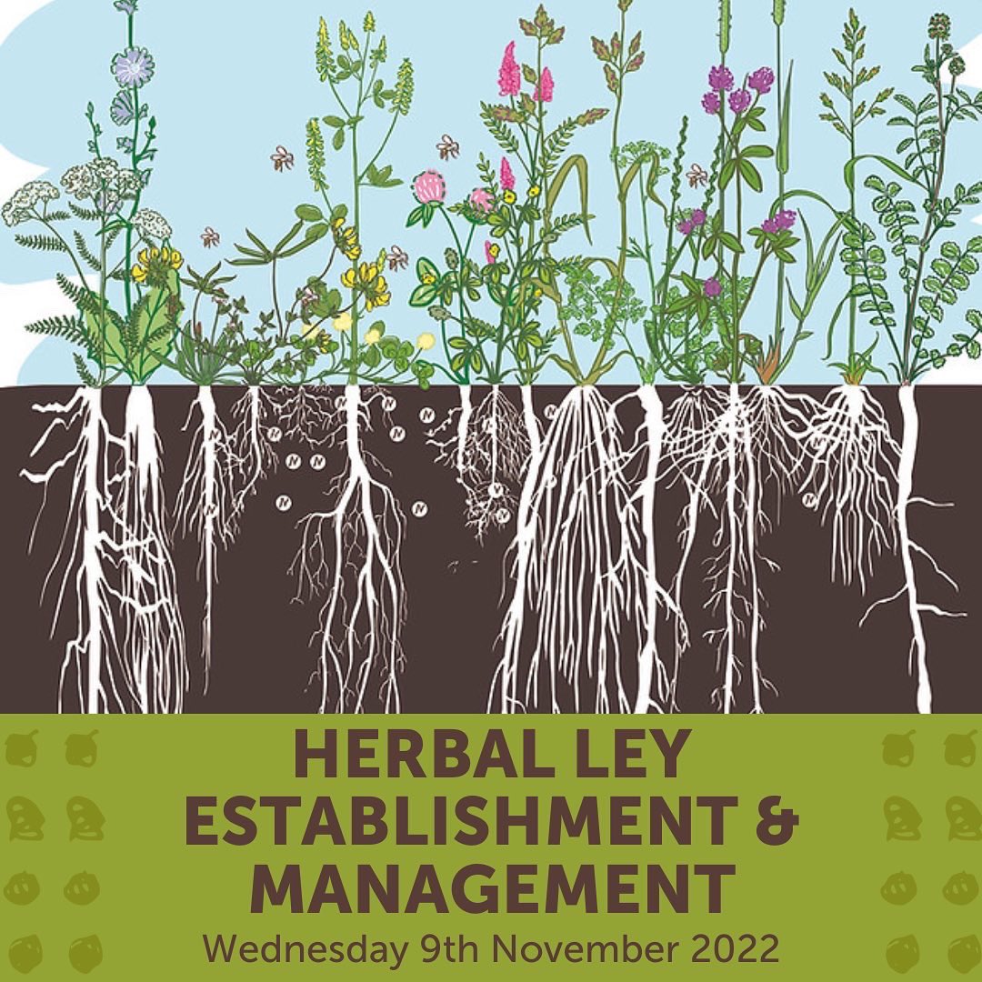 CotswoldSeeds's tweet photo. This course is designed for arable and livestock farmers and growers who are interested in working with herbal leys but want to learn more about how to start integrating seed mixtures into their current operation.
2/2
https://t.co/cWc3MEp3VT

#soilhealth #herballeys #seedmixture https://t.co/AZzLXHoO6C