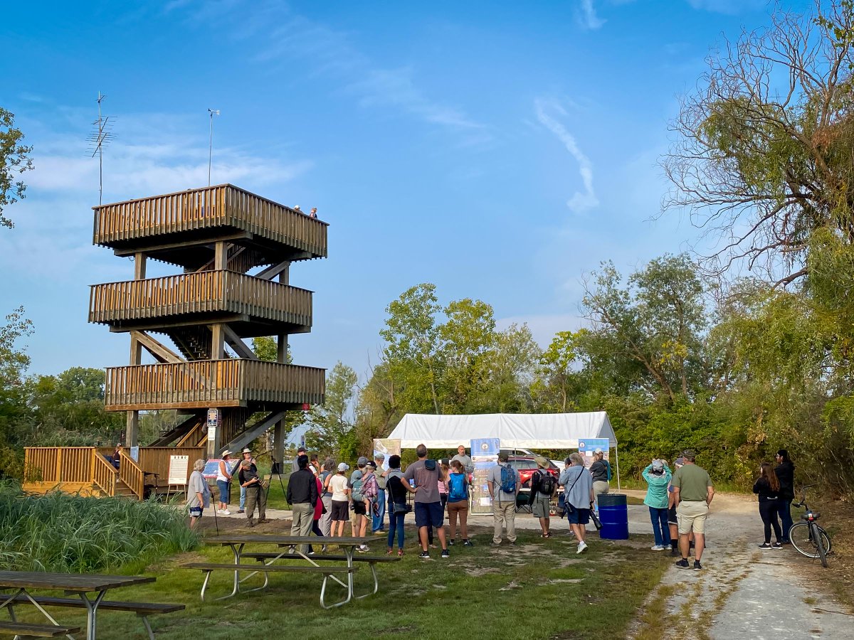 DMennill's tweet photo. A great morning at the Festival of Hawks at Holiday Beach: harriers, sharpies, eagles... and a huge scold of Blue Jays.
My favourite part: hanging out with lab alumna and Hawk Counter @NShangi in-person, after 3 years of virtual meetings.
Thanks @HolidayBeachMO &amp; @essexregionca! https://t.co/brdOIVeec7