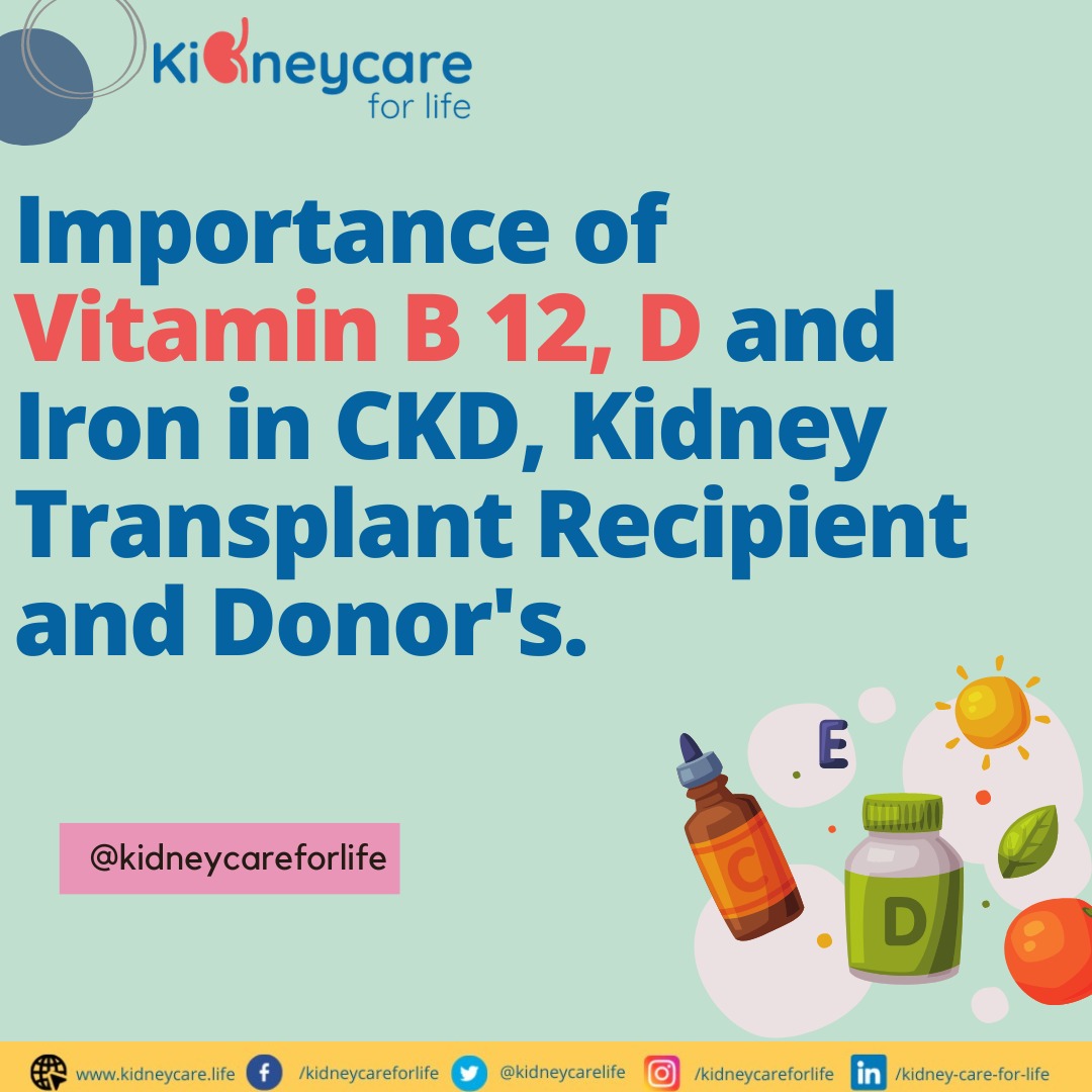 #vitaminb12 #vitaminD and #iron are so much important for #ckd patients, #kidneytransplant recipients, and the #kidneydonors

Read the full blog: kidneycare.life/blog/importanc…

#renalhealth #posttransplantcare #kidneycare