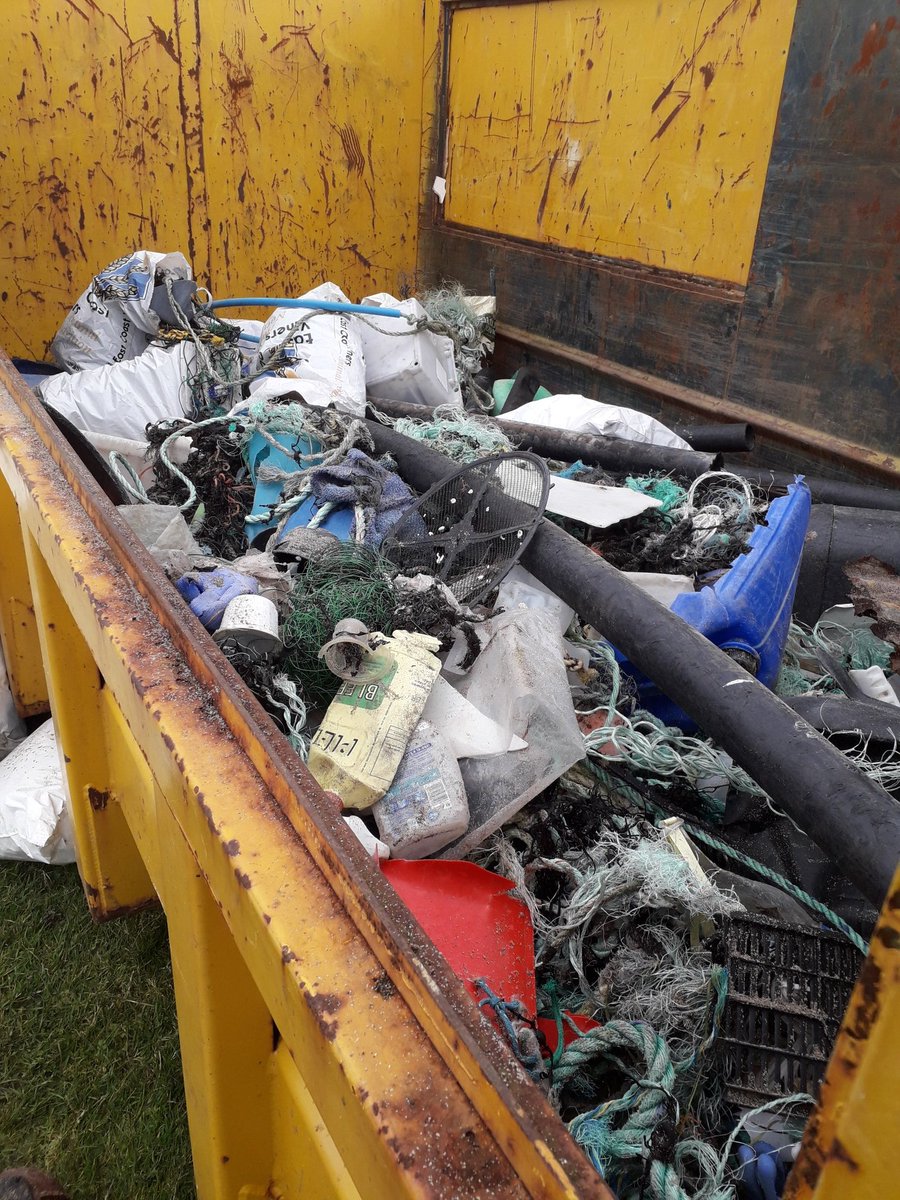 UllapoolSharkAmbassador tweet media