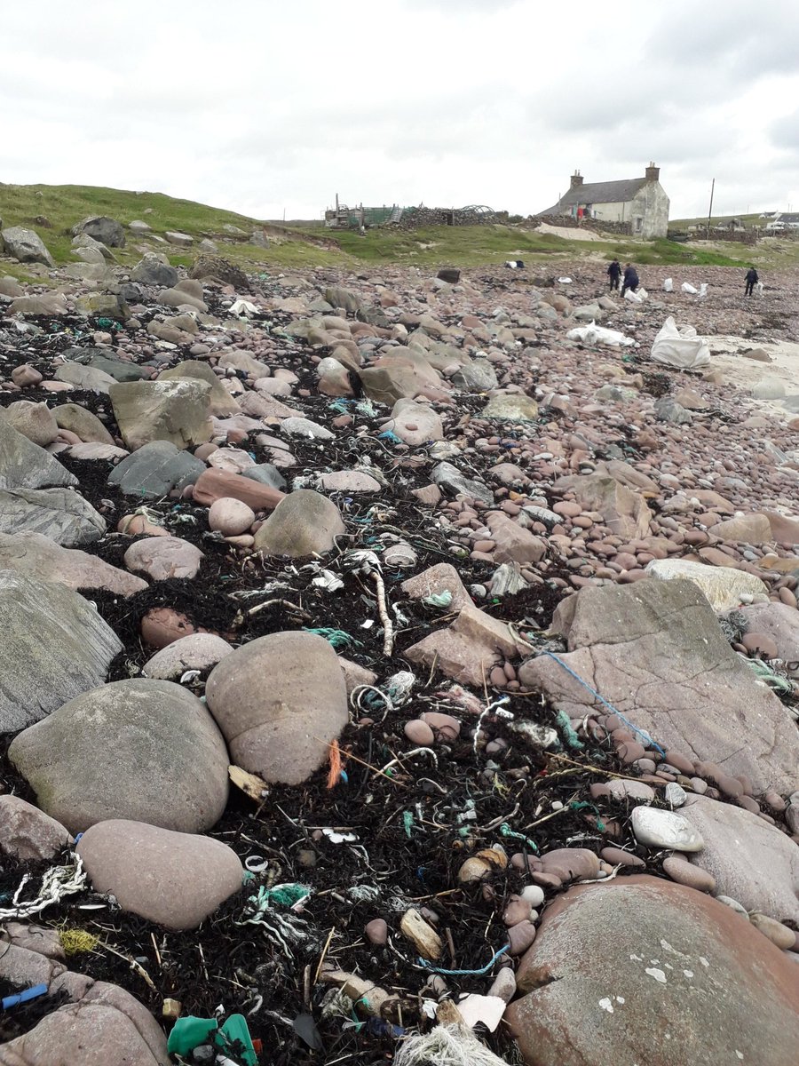 UllapoolSharkAmbassador tweet media