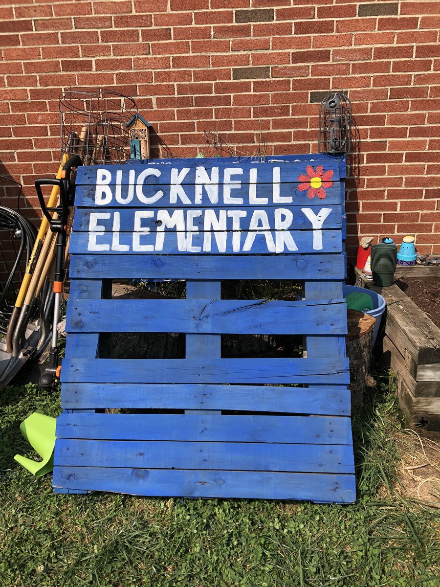 Thank you to all our wonderful volunteers for helping us clean the Bucknell Garden. Our garden looks fantastic! 💙💙. Special thanks to our West Potomac &amp; Hayfield HS volunteers.  Your help was invaluable!  <a href="/PTABucknell/">Bucknell Elementary PTA</a> <a href="/BucknellElem/">Bucknell Elementary</a> @FCPSHayfieldSS <a href="/theWPboard/">West Potomac HS (we/they/them)</a>