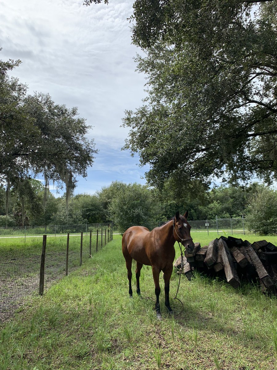 themeitrix's tweet image. 