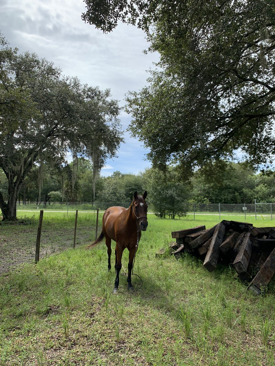 themeitrix's tweet image. 