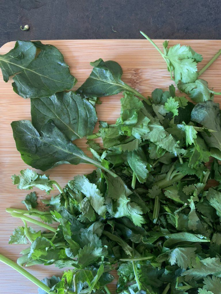 intostitch's tweet photo. Could @Tesco confirm these leaves are coriander? And safe to eat or is this something else? https://t.co/WR5CTZ2wnQ