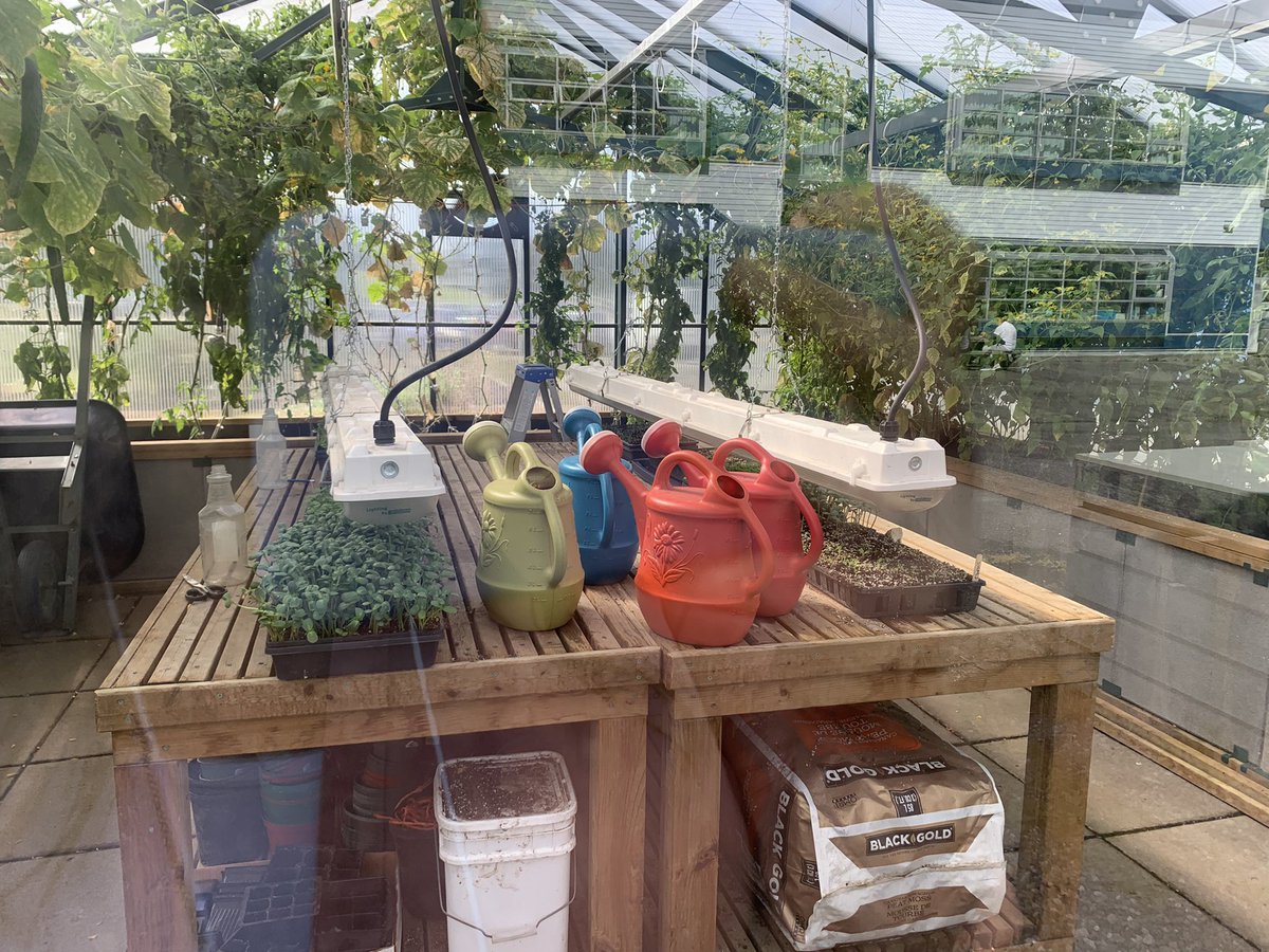 I toured the @RupertSchools @chsssd52 yesterday, and fell in love with their garden program! This greenhouse was incredible and there are endless garden boxes growing food for the food program. Great work by Charles and everyone involved @ecotrustcanada