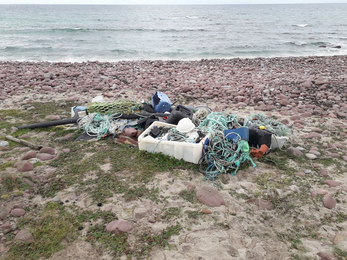 UllapoolSharkAmbassador tweet media