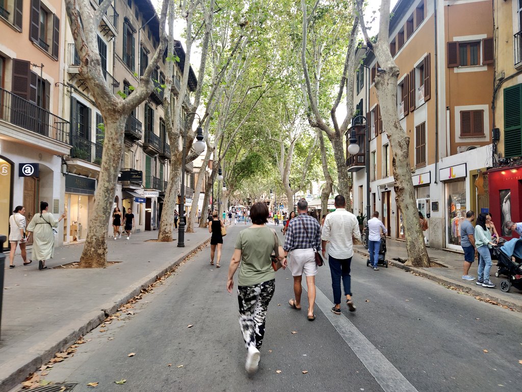 matcaves's tweet photo. El DRAMA de tancar un carrer al trànsit rodat #mortidestrucció https://t.co/FiI1mBStFy