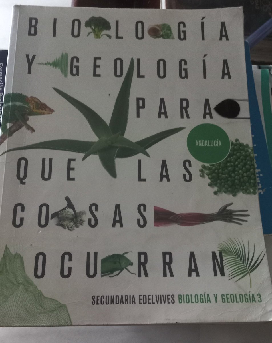 Paco Lechago tweet media