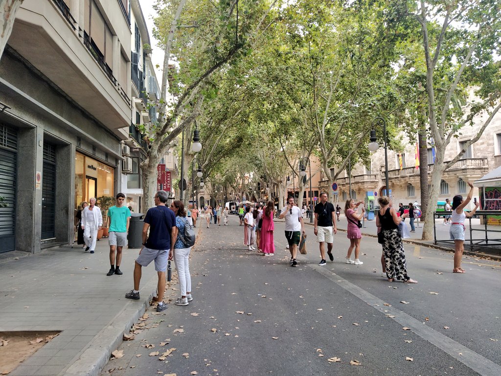 matcaves's tweet photo. El DRAMA de tancar un carrer al trànsit rodat #mortidestrucció https://t.co/FiI1mBStFy