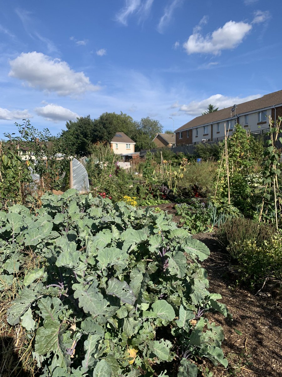 A wonderful afternoon opening for @Bristolfoodnet #GetGrowingTrail!!
Thanks to all who came along, and our community gardeners for helping!!