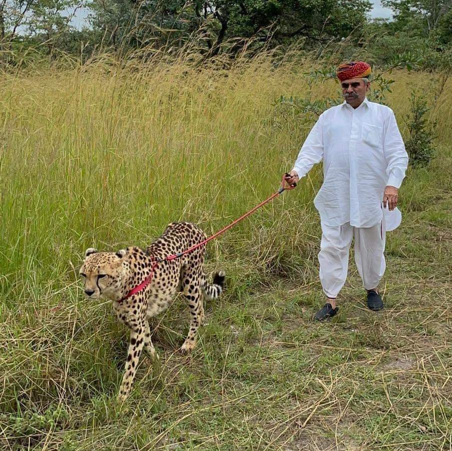 एडिटिंग गज़ब की है किसी ने
