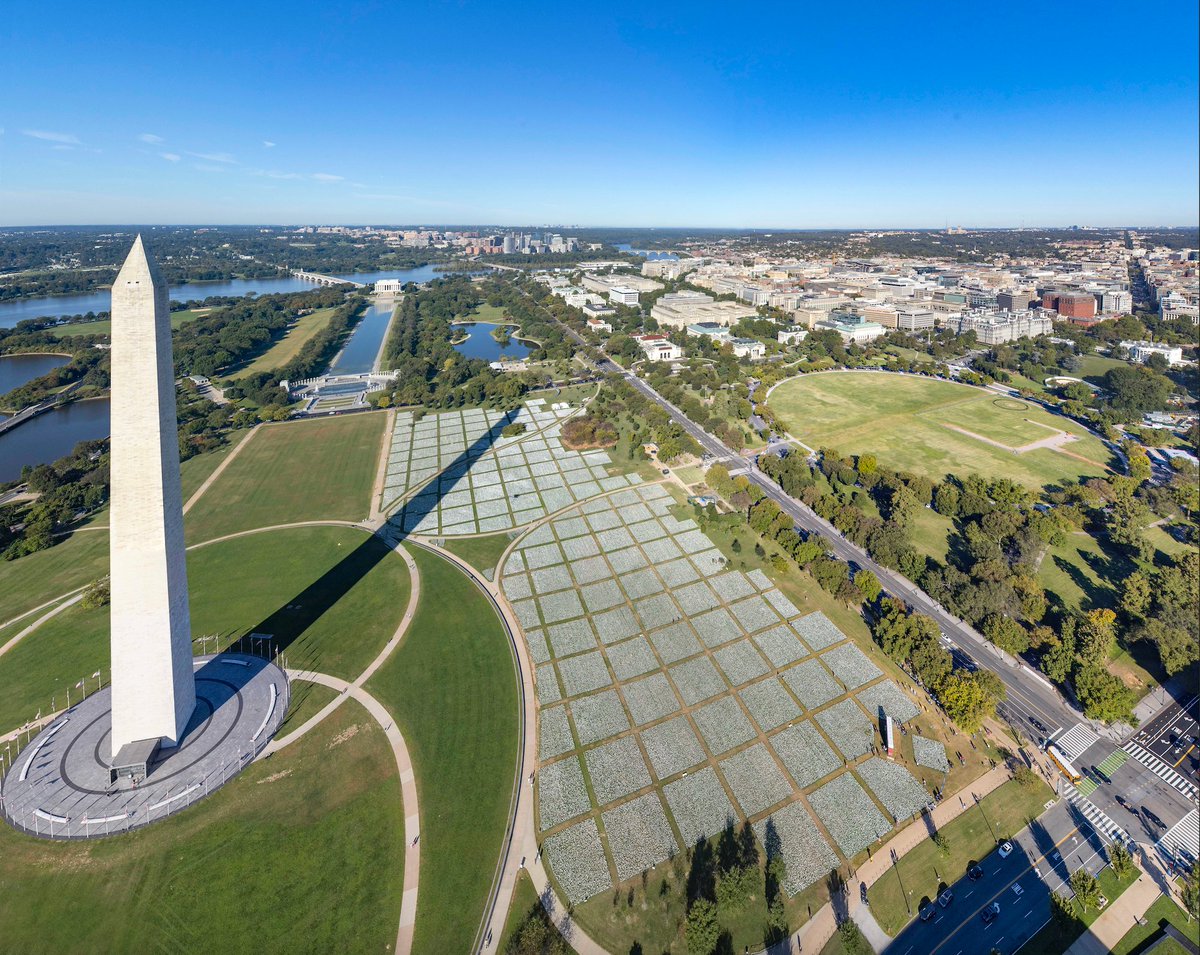 Suzanne Brennan Firstenberg tweet media